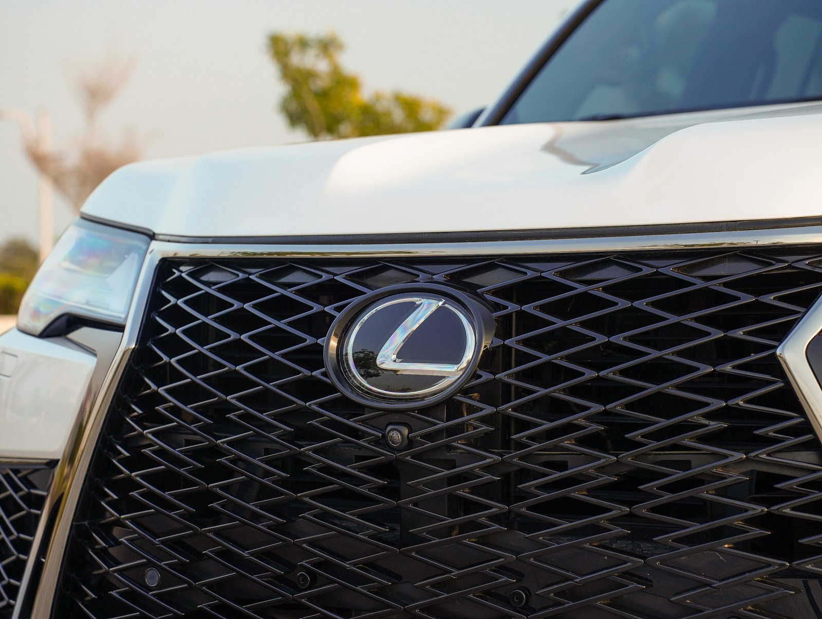 
								Lexus LX 600 Luxury full									