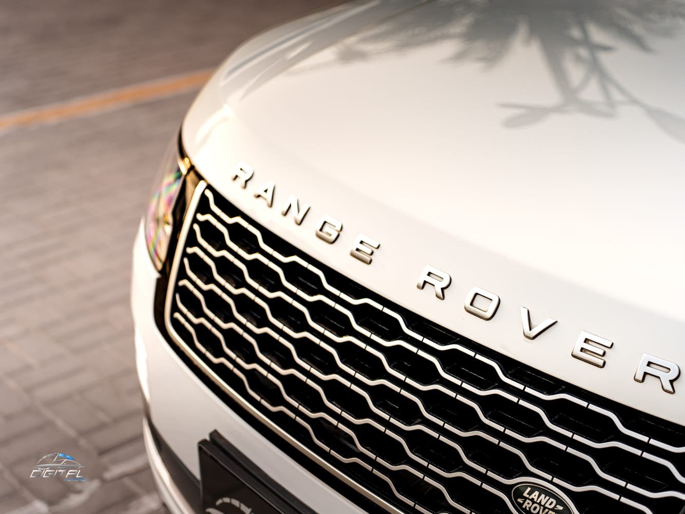 
								Land Rover Range Rover Vogue SE 2019 Automatic full									