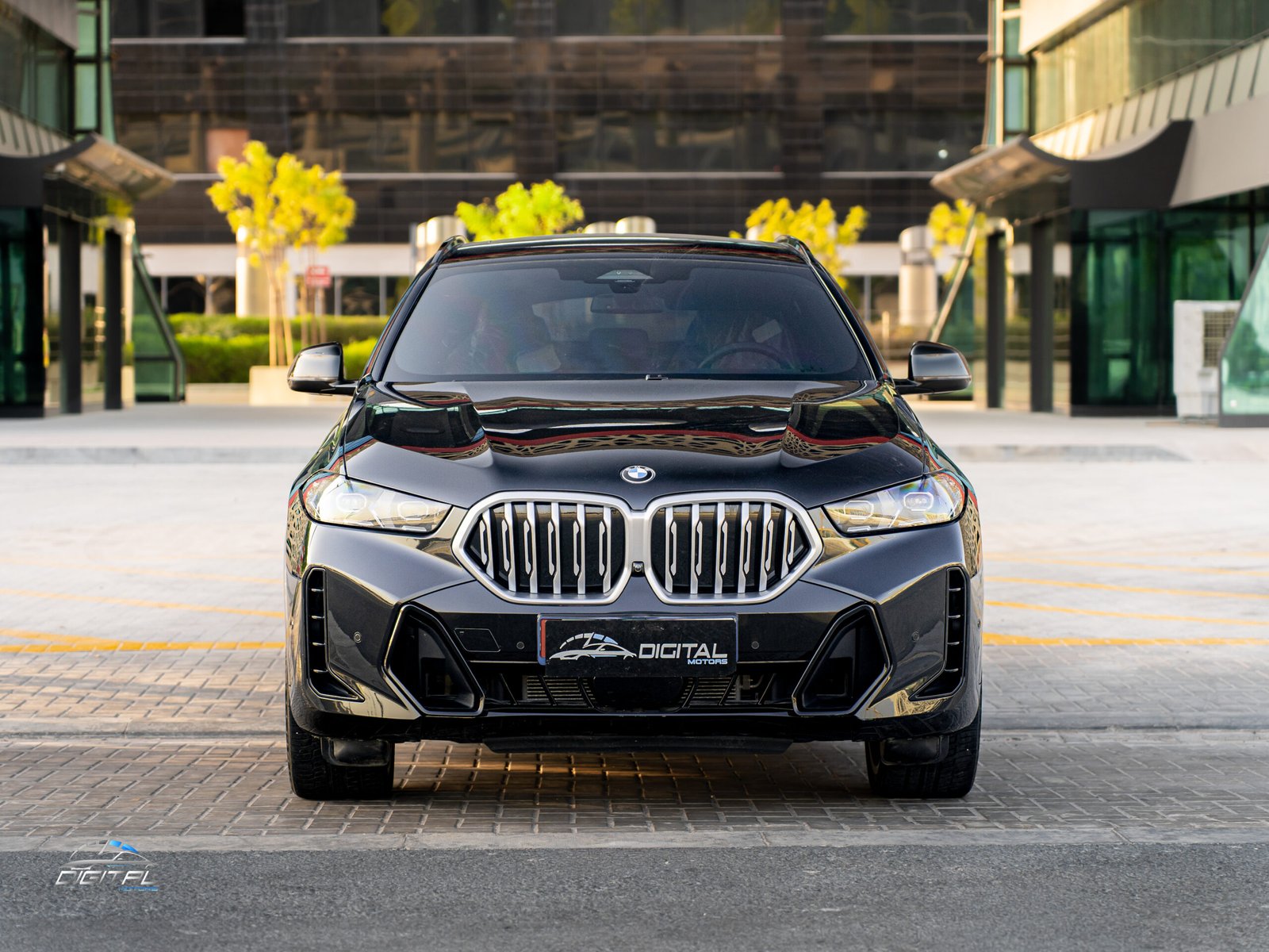 
								BMW X-Series X6 full									