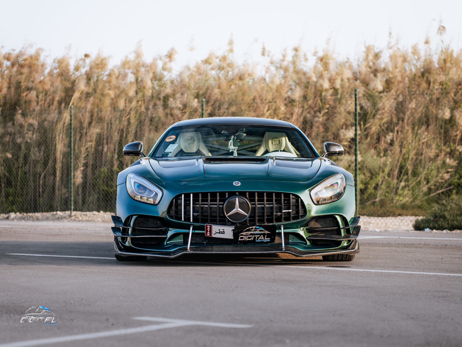 
								Mercedes Benz GTS AMG full									