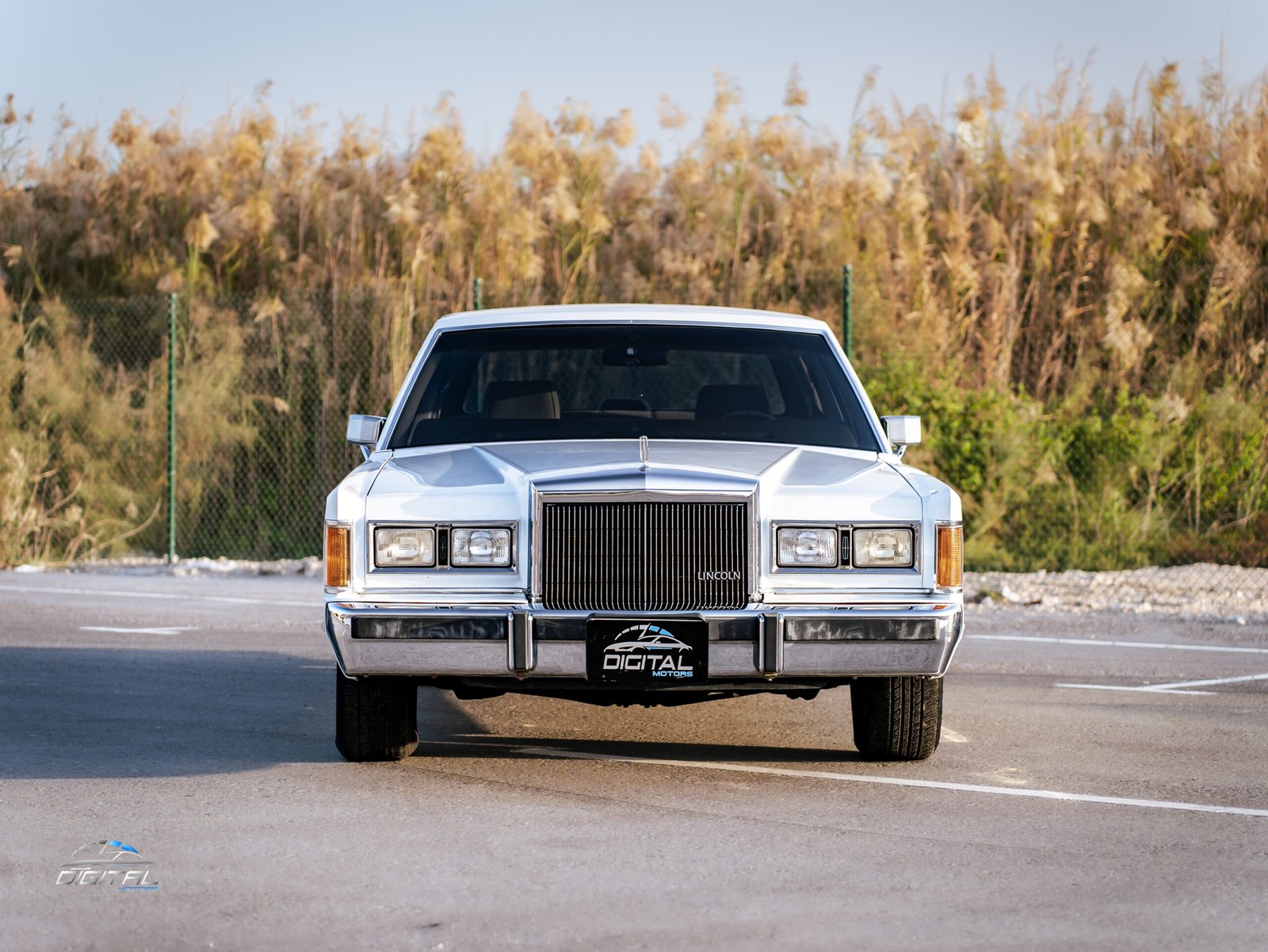 
								Lincoln Town Car full									