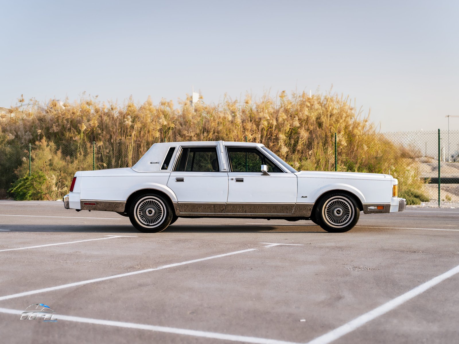 
								Lincoln Town Car full									