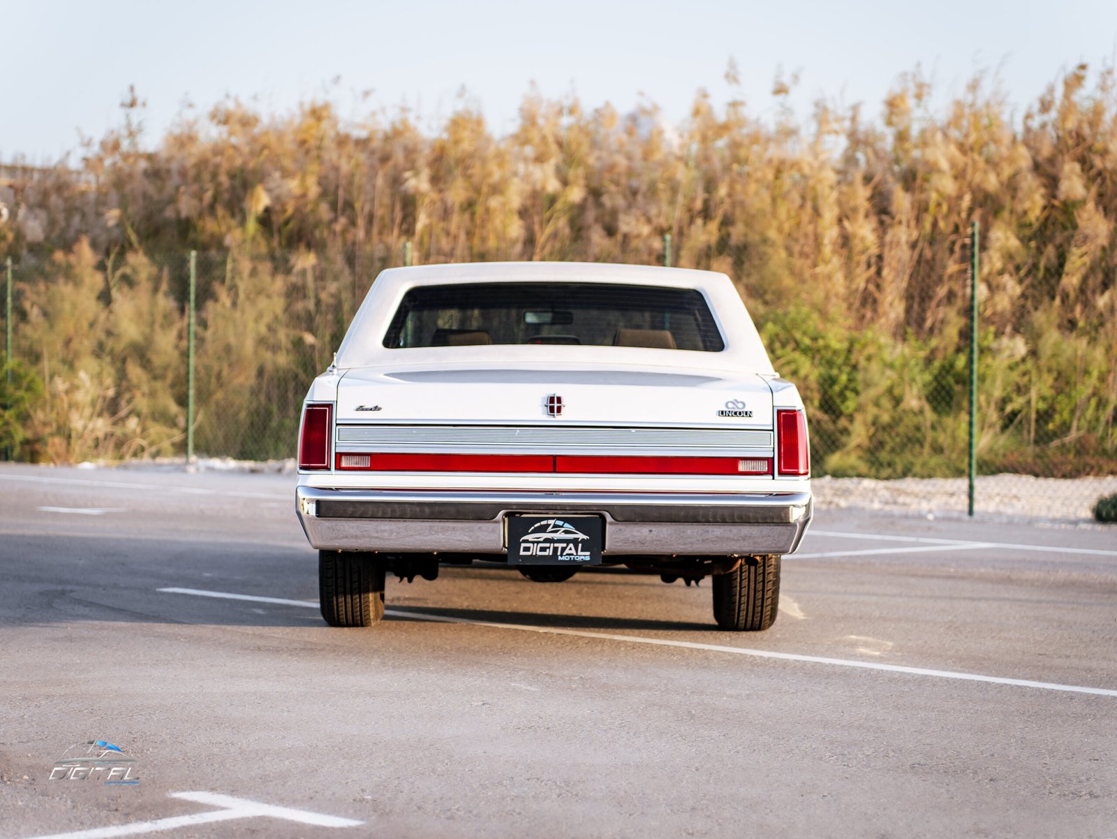 
								Lincoln Town Car full									