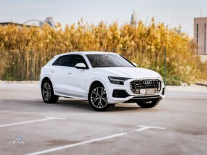 Audi Q8 TFSI Quattro